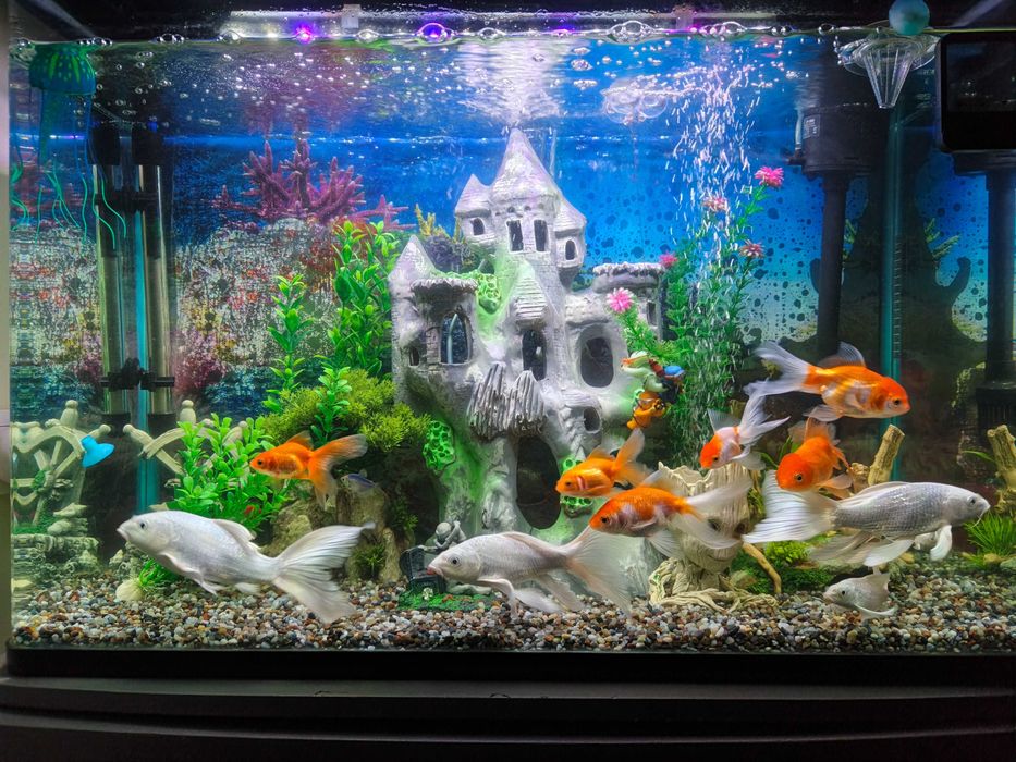 Аквариум с рыбками все комплект