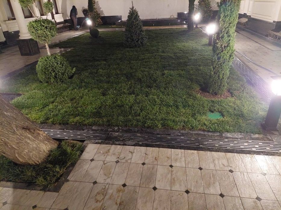 Газон разнога вида