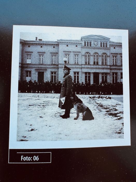 Carte colectie nazista germana