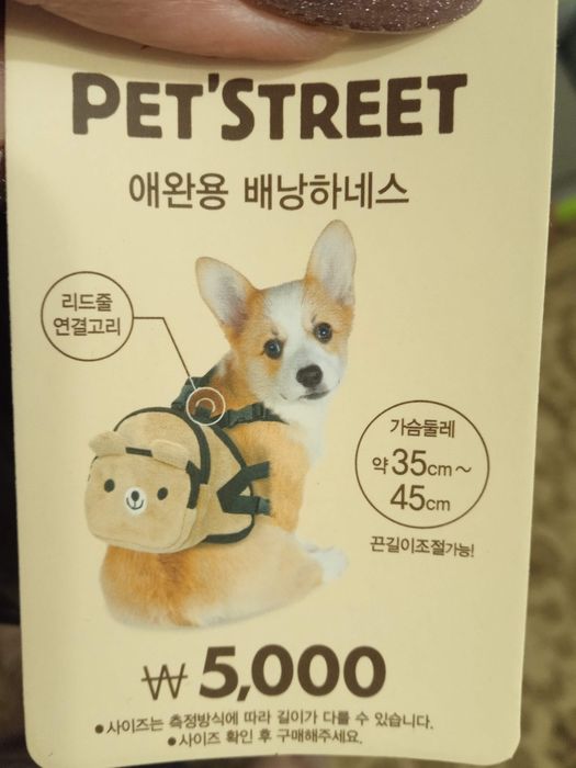 Новая шлейка- рюкзак для собак