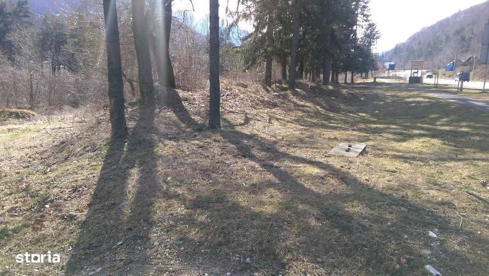 Teren de vanzare DN1.