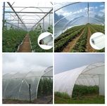 FOLIE SOLAR=IMPORT GRECIA ,AditivI UVA+EVA,3aniGarantie,180micr