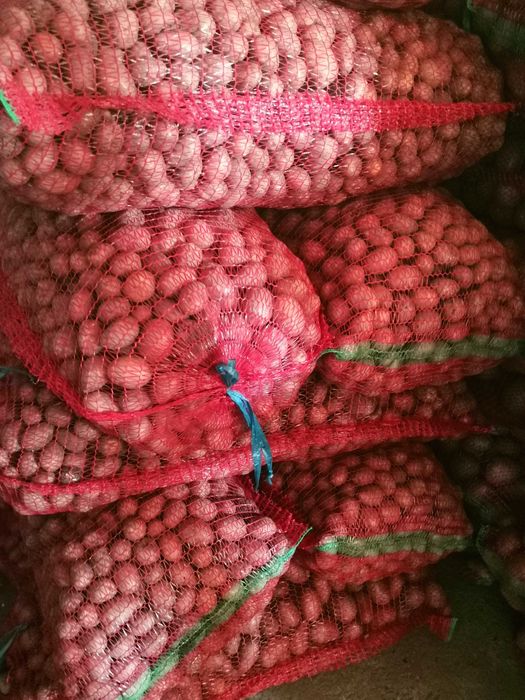 Vând cartofi pentru animale