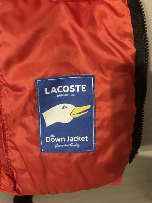Lacoste Down Jacket