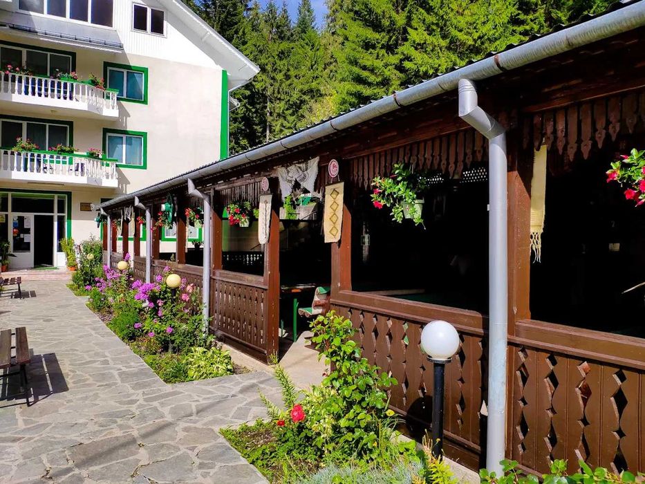 Cazare vila Durau, 18 camere, minim 3 zile