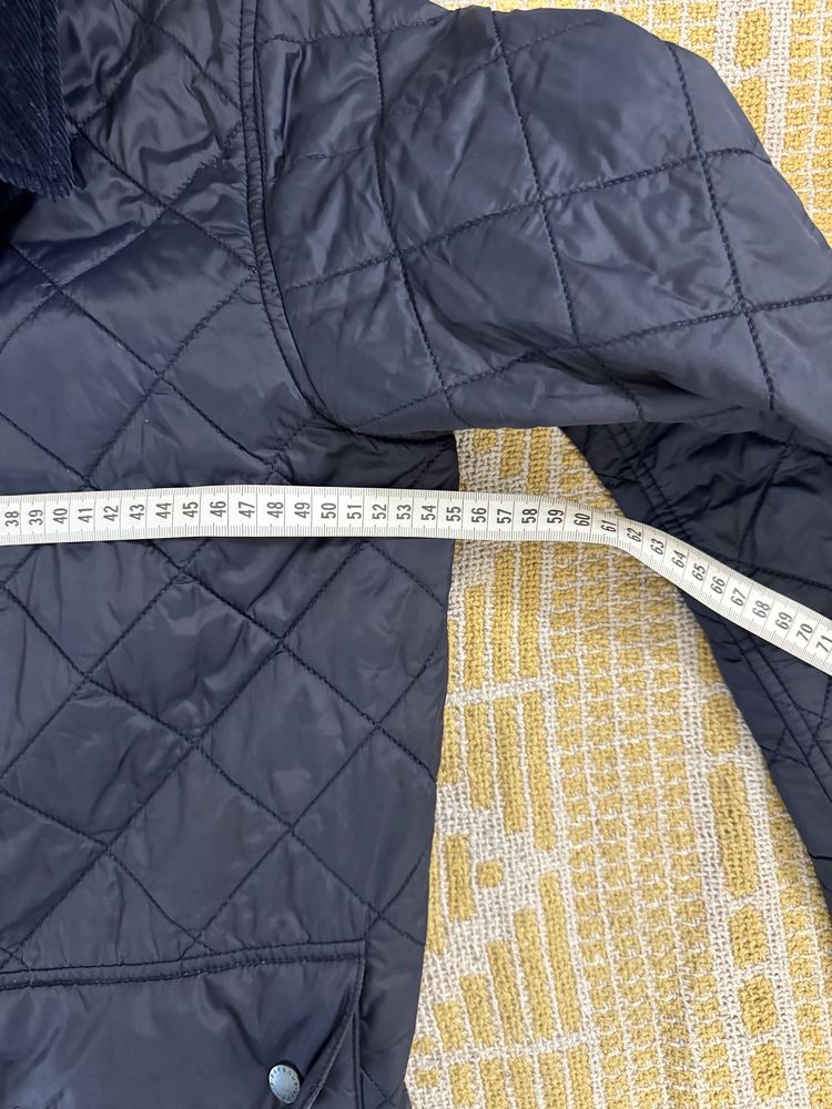 Geaca matlasata Barbour