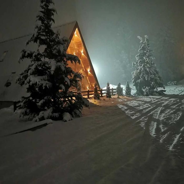 Cabana stil A Frame si casa din structura de lemn de vanzare