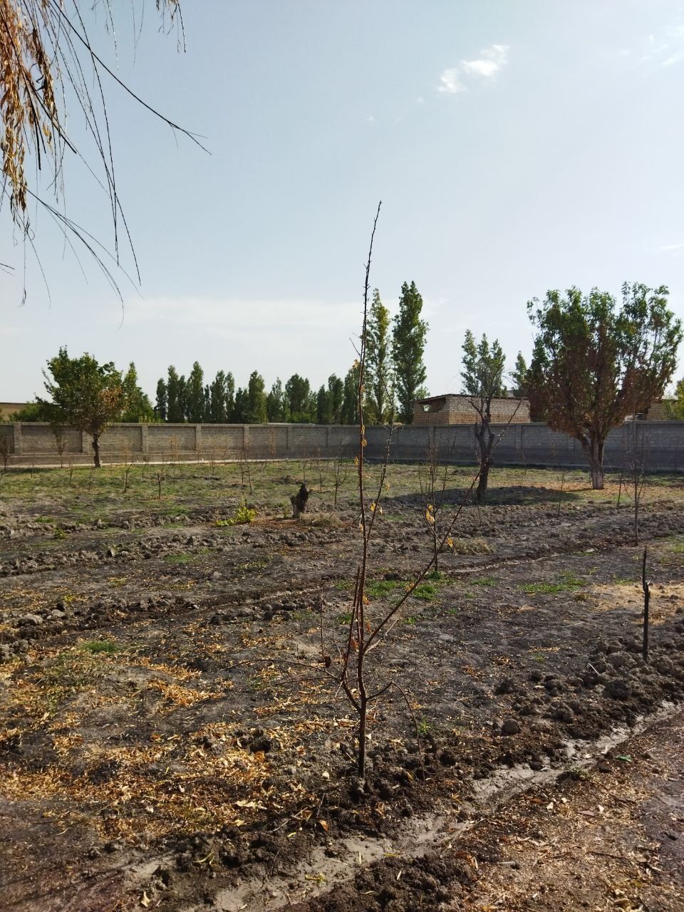 Yangiyo'l Samarqand mahallasida 10 sotix hovli