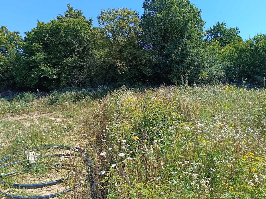 Vand teren intravilan Corunca/Panorama superba/Liziera padurii