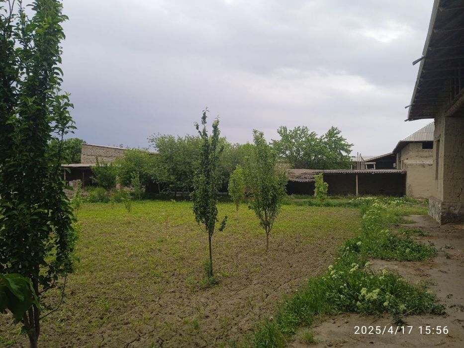 Навбахор тумани, Гулистон махалласида уй сотилади.