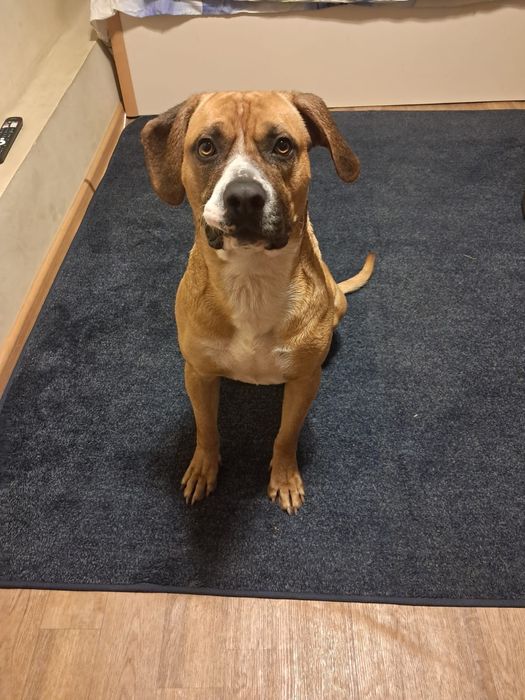 Вязка для кабеля