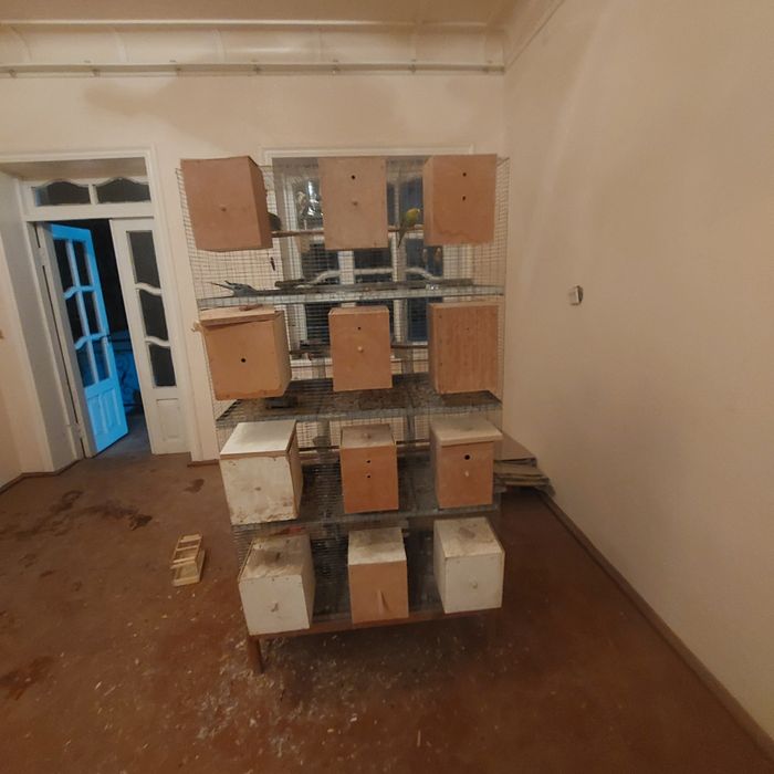 Kletka. Valnisti 12 ta paraga mojalangan