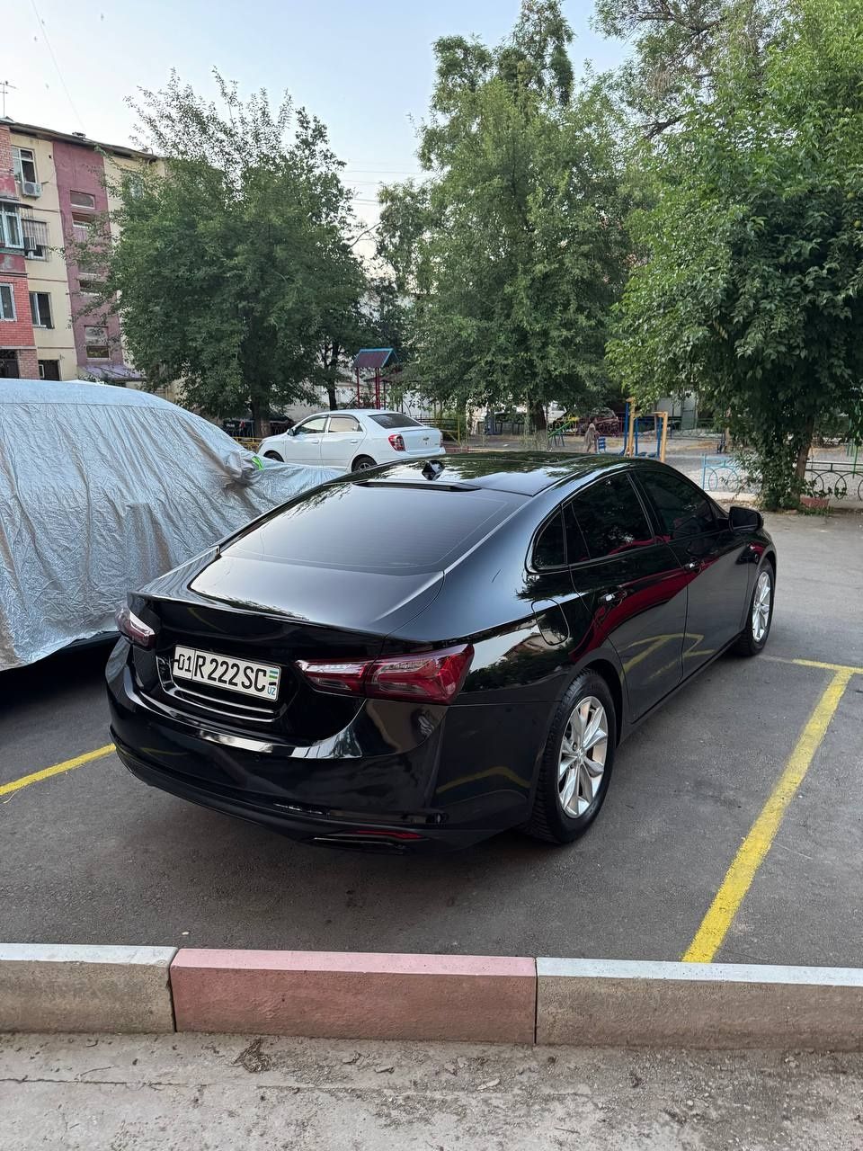 Malibu primer 2021 black edition