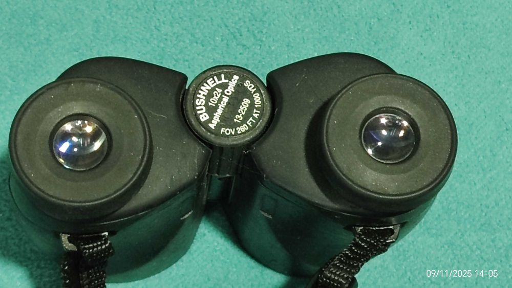Super Binoclu BUSHINEL 10X24