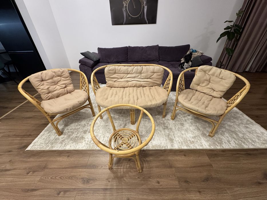 Set de gradina cu 4 locuri din ratan