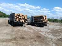 Lemn de foc fag Calitate superioara 1600 lei-7ms