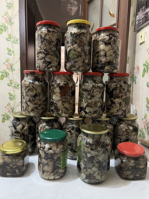 Продам валуи 1л 5000 тг