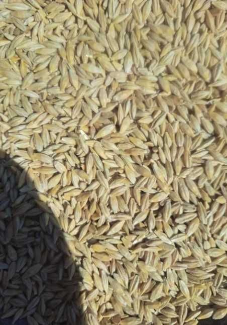 Vand 1000Tone orz+300 Tone Floare