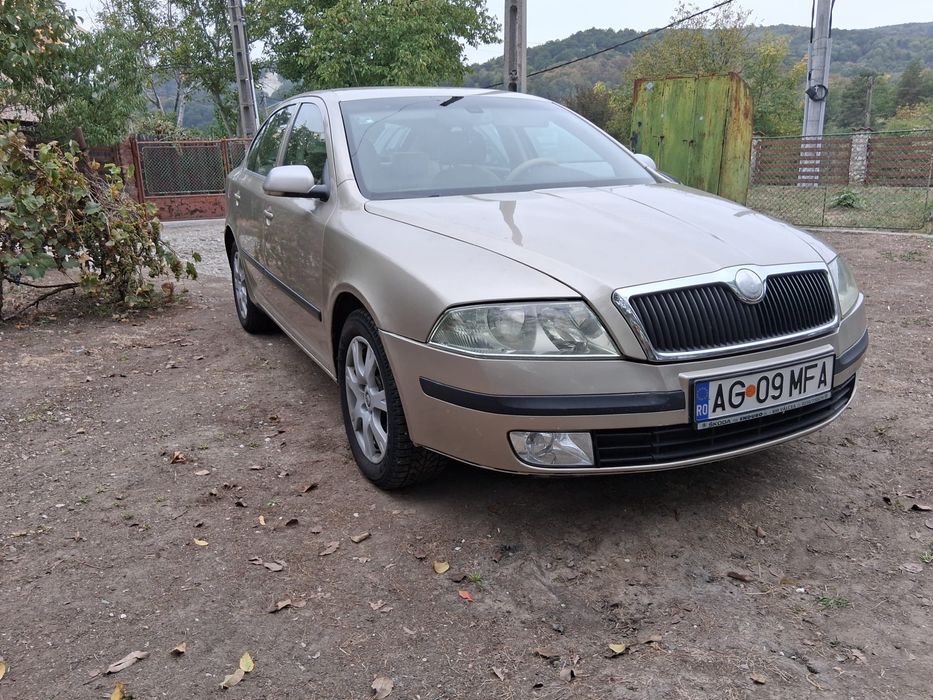 Skoda Octavia 1.9 TDi / 2006