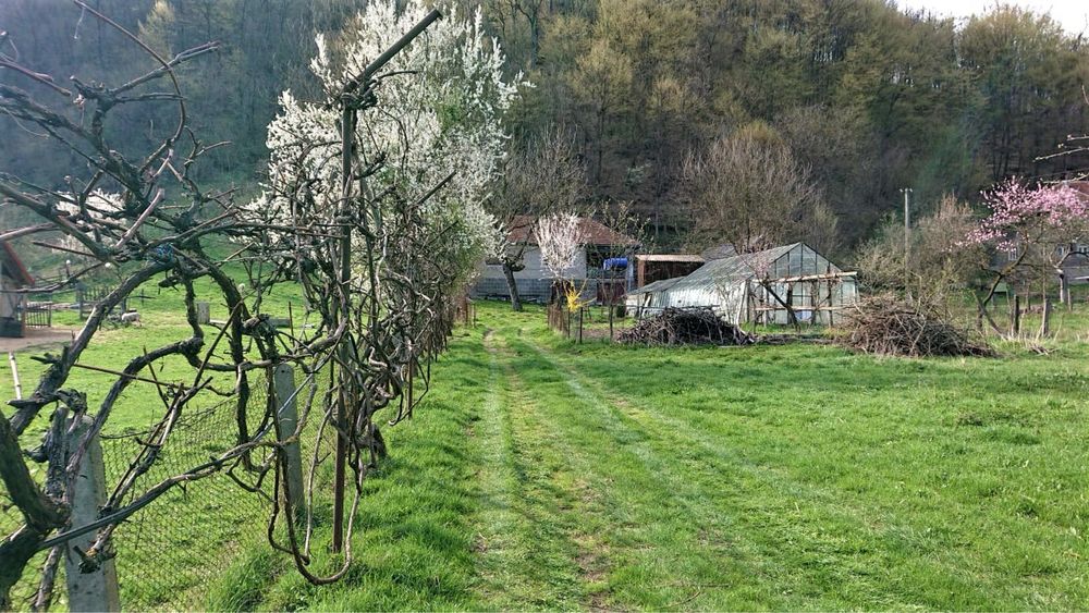 Se vinde proprietate