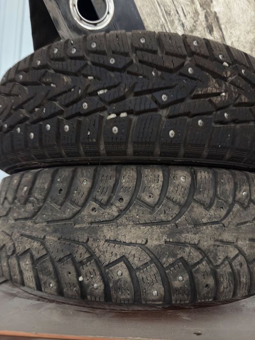 Резина зимняя шип