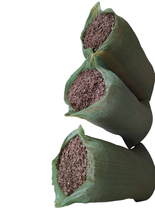 Апилка қуруқ,  чинор ва ёнғоқдан