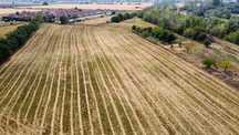 Teren 9200 mp A1 , Km 30 , Bolintin Vale