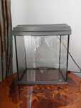Acvariu pesti Tetra 20 l
