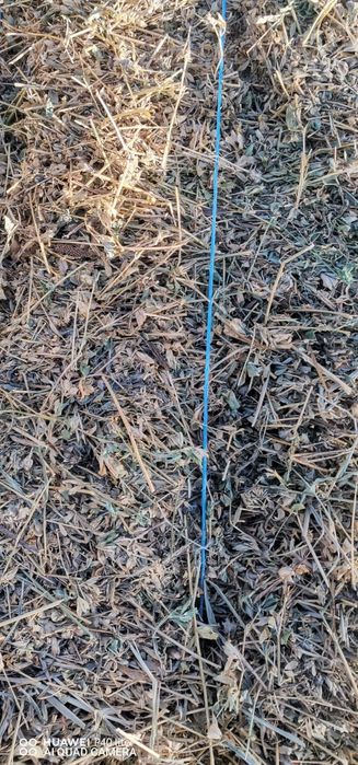 Vând baloti de lucerna