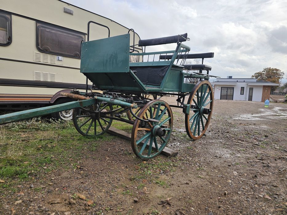 Карета каляска каруца файтон маратон кон кобила пони