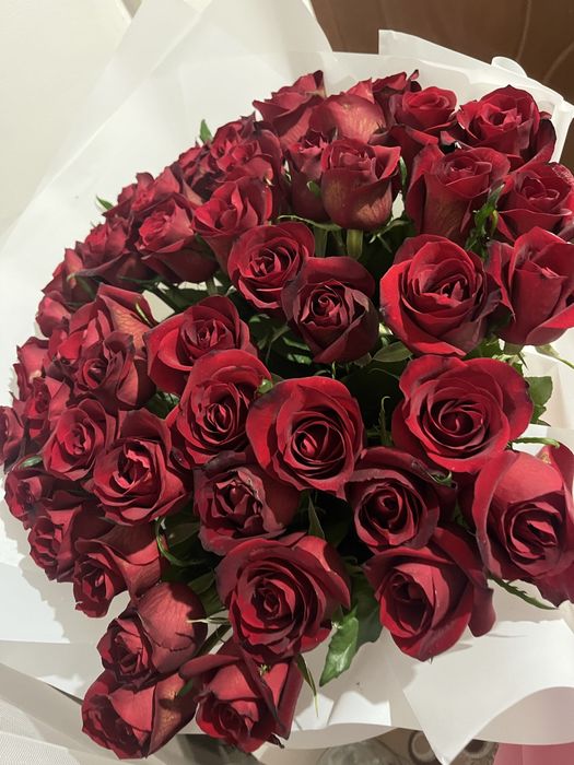 Розы 51 шт 80 см