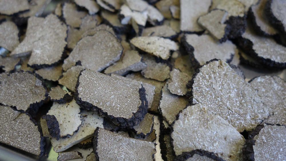 Лиофилизиран летен черен трюфел