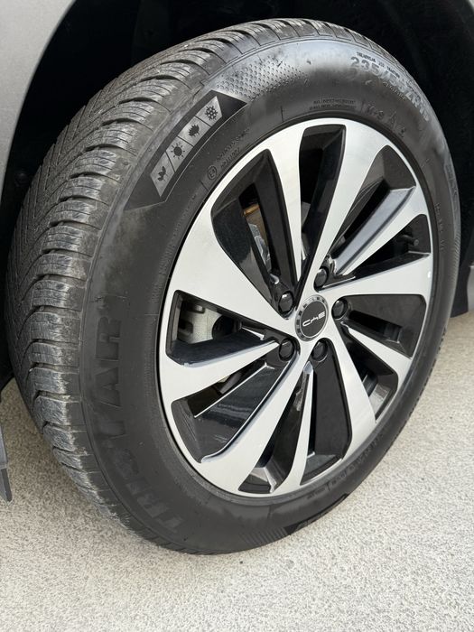 Byd Champion full 605