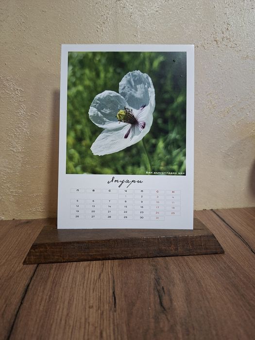 Многолистов календар с авторска фотография на диви цветя 2026г.