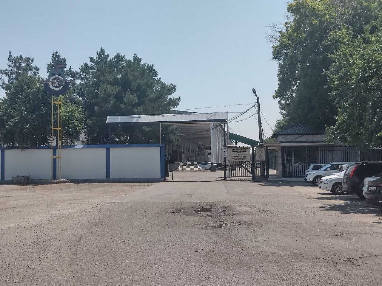 Bojxona Rastamojka xizmatlari