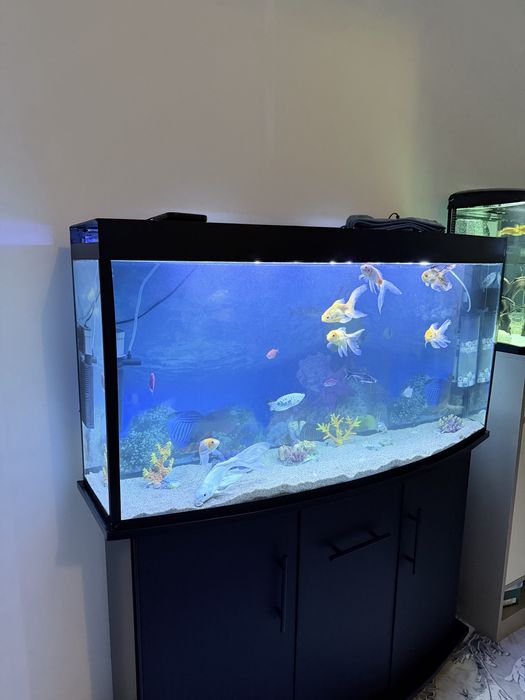 Akvarium 200litr