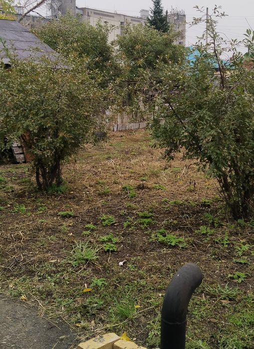 Продам 3 комн. дом с сан. узлом. Возможна рассрочка при перв. вз 6 млн