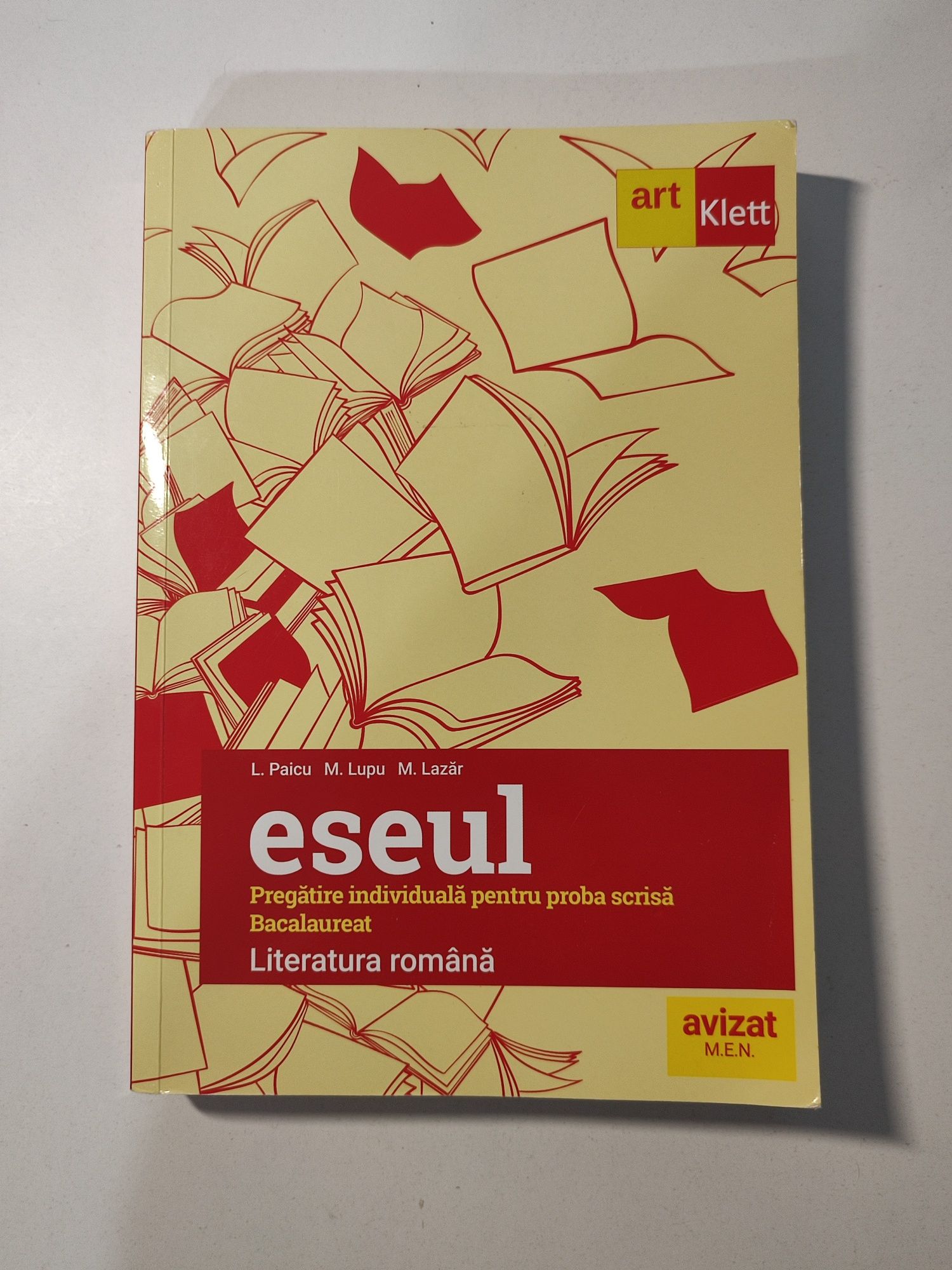 "Eseul" - pregatire bacalaureat limba romana