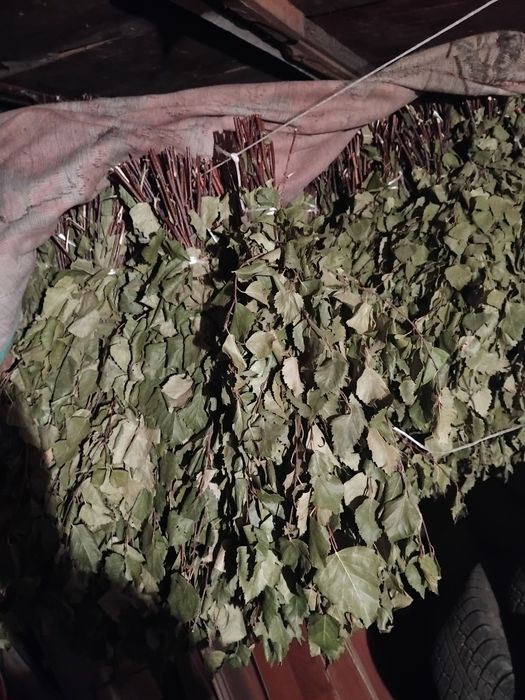 Веники березовые