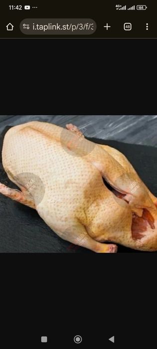 Гусинное мясо в  продаже(қаздар)