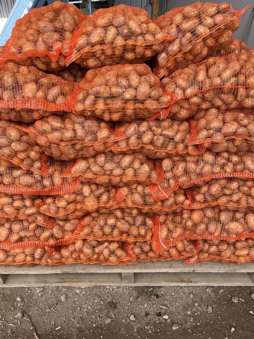 Cartofi consum recent ambalat