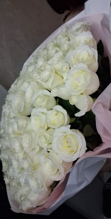 Продам 101 розу,свежие