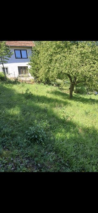 Дворно място в с. Ново Бърдо