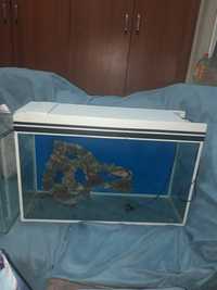 Продается аквариум обьемом 50 л