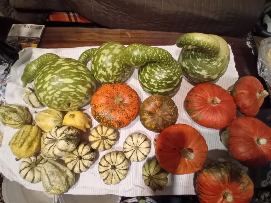 Аранжировка , освежаване