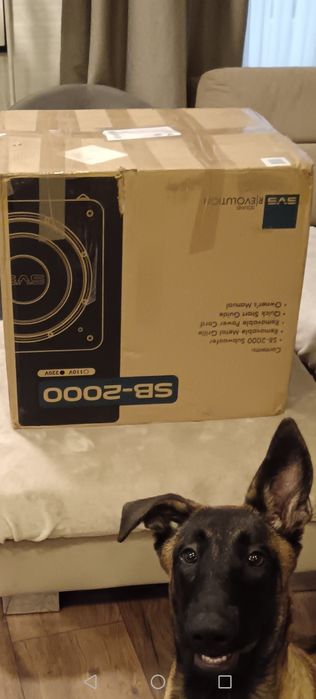 Subwoofer SVS Sb 2000-550w rms