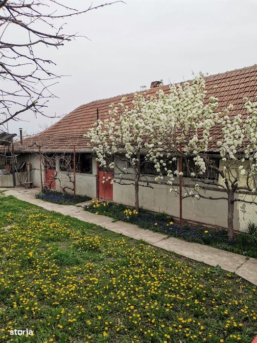 Casă cu grădină mare, aproape de Arad – preț promoțional 34.700 €