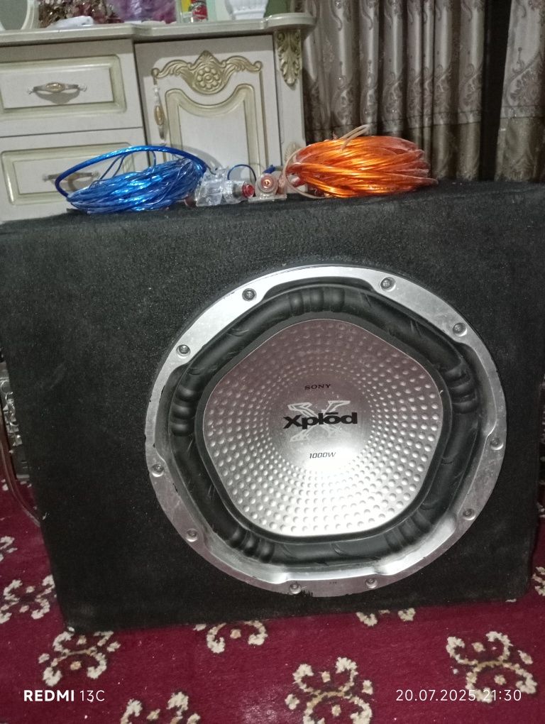 SONY X PLOD 1000 w