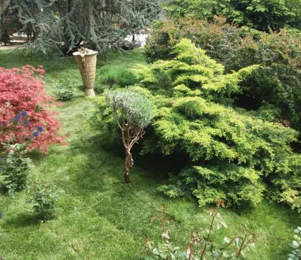 Gazon Rulou Transport montaj