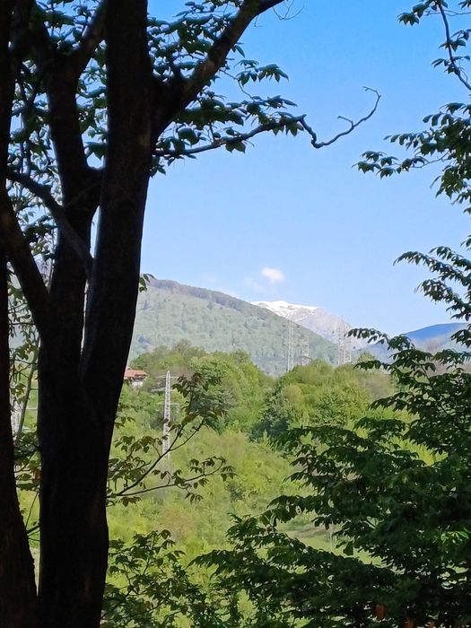 Casa in cadru natural deosebit pe dealurile Comarnicului